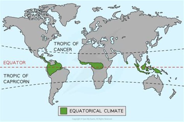 What are the major economic activities in the equatorial rainforest region?