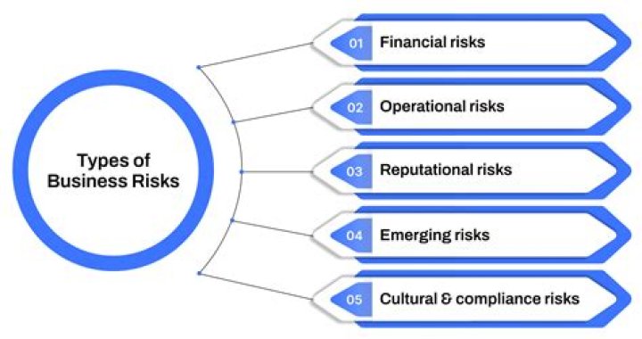 What are the major types of business risk?