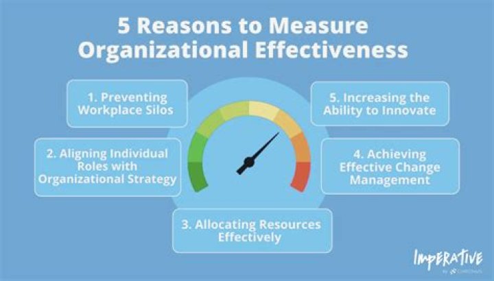 What are the measures of organizational performance?