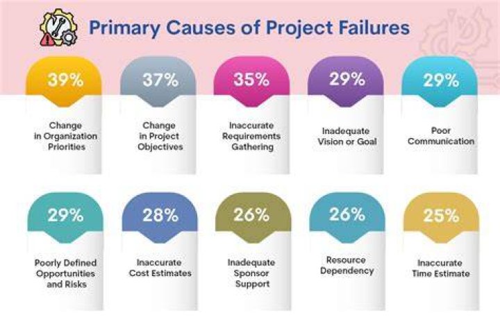 What are the most common reasons that projects fail?