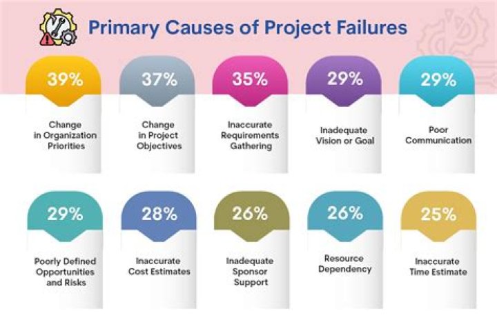 What are the most common reasons why projects fail?