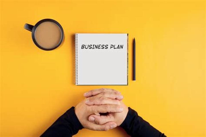 What are the needs of a business plan?