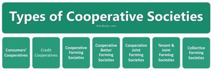What are the objective of cooperative society?
