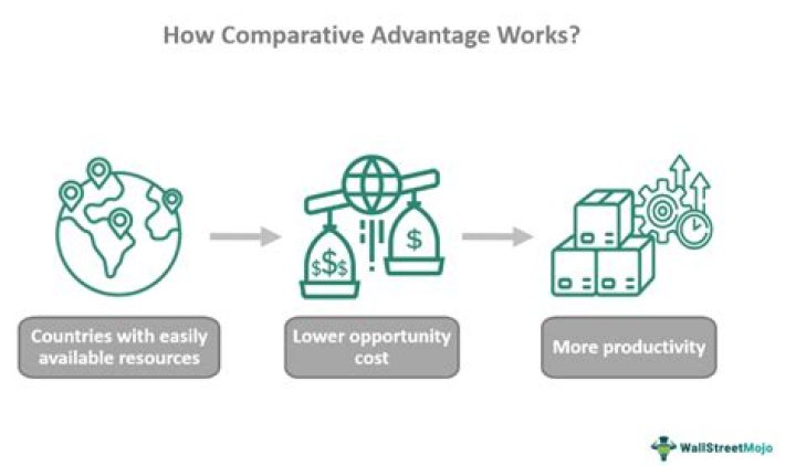 What are the principles of comparative advantage?