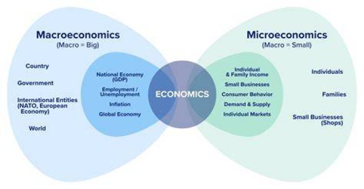 What are the principles of microeconomics?