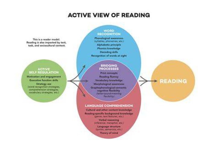 What are the reading problems in elementary education?