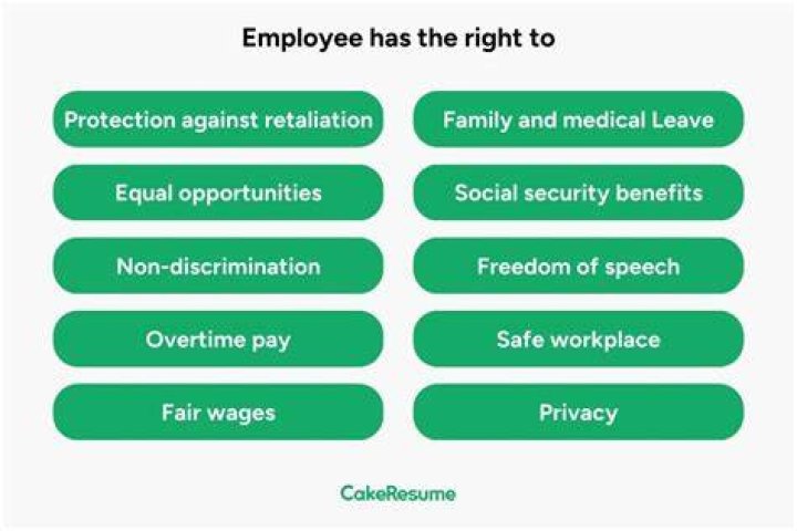 What are the rights of a contract employee?