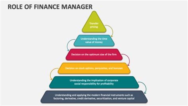 What are the role players in public financial management?