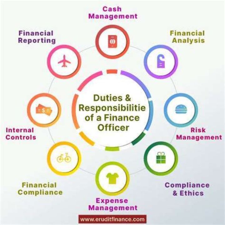 What are the roles and responsibilities of finance manager?