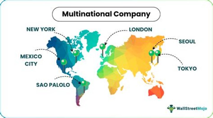 What are the three types of control used by multinational enterprises?