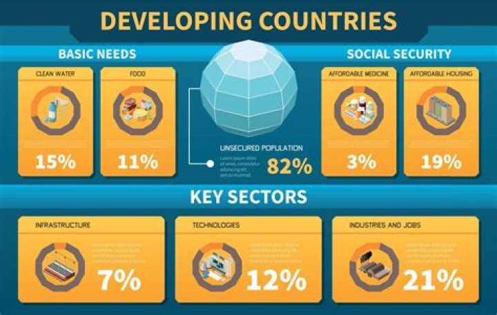 What are the top developing countries?