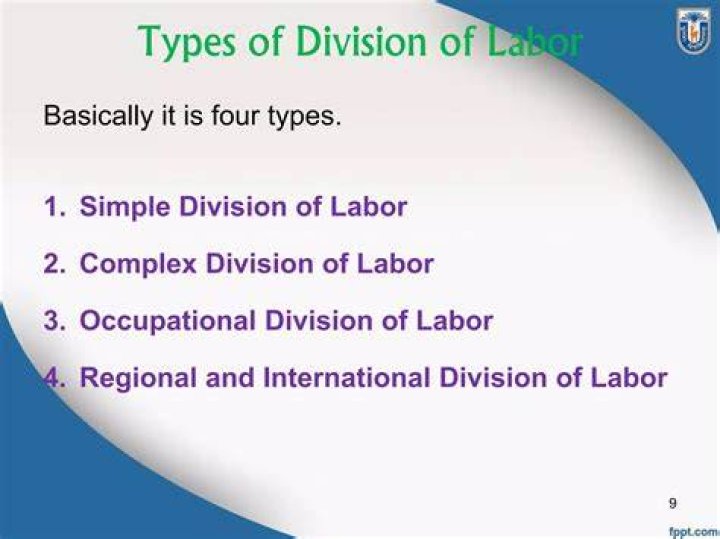What are the two types of division of labour?