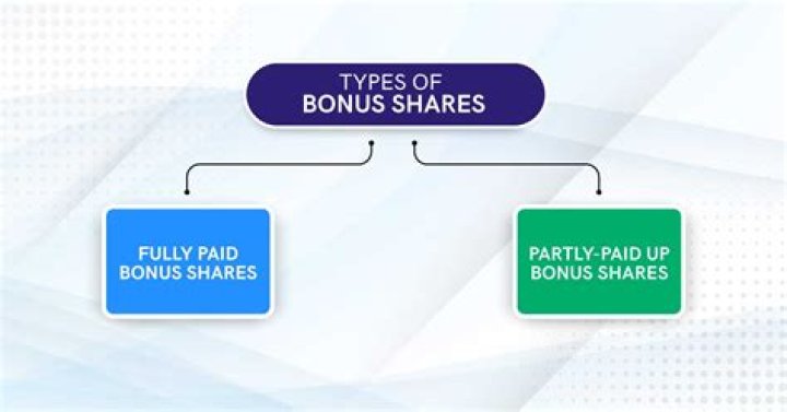 What are the types of bonus shares?