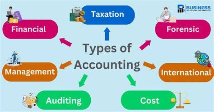 What are the types of business accounting?