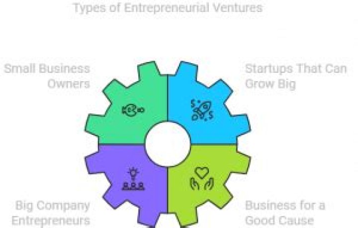 What are the types of business ventures?