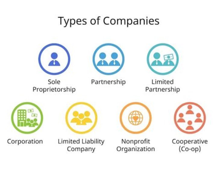 What are the types of company growth?