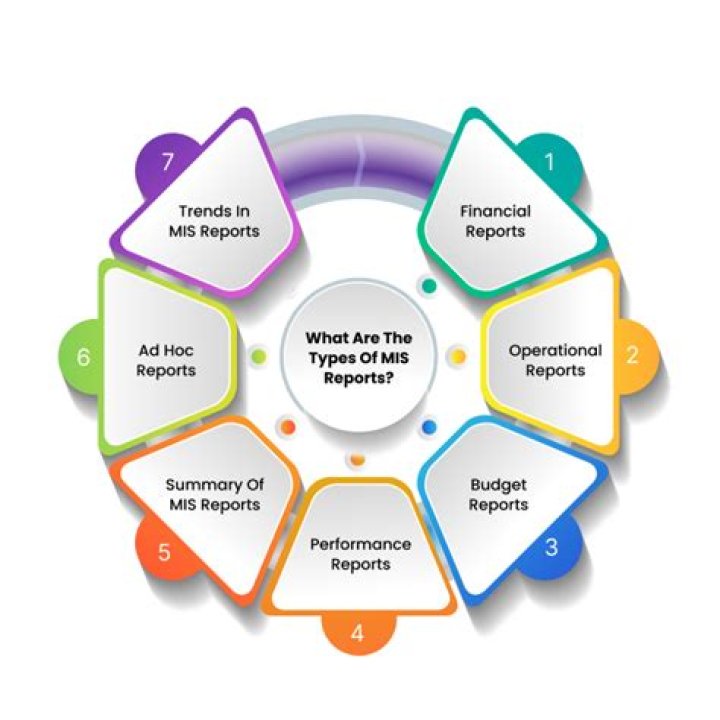 What are the types of MIS reports?