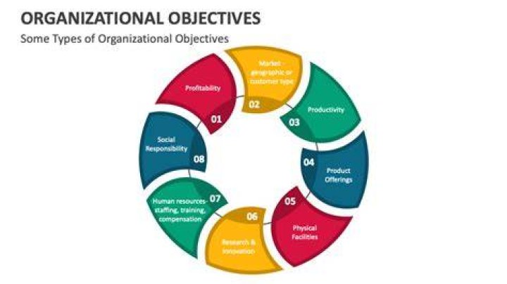 What are the types of organizational objectives?