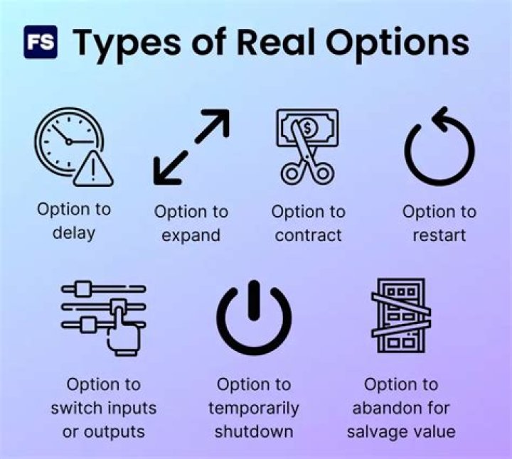 What are the types of real options?