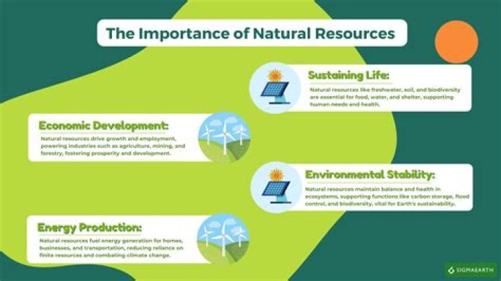 What are the uses of resources in our environment?