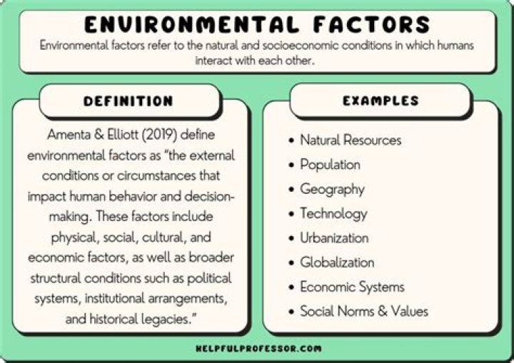 What are the various environmental factors?
