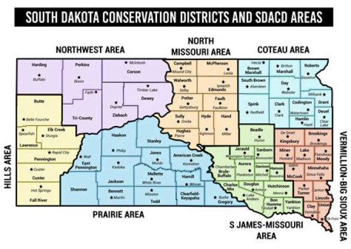 What are the voting districts in South Dakota?