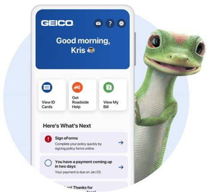 What are the words to the GEICO scoop commercial?