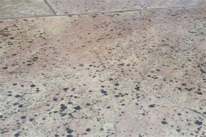 What are those black spots on the sidewalk?
