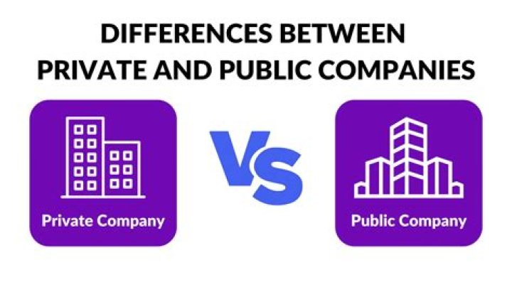 What are three advantages of a public company?