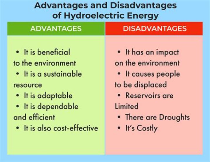 What are three disadvantages TNCs?
