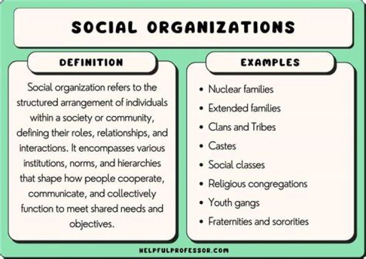 What are three professional organizations?