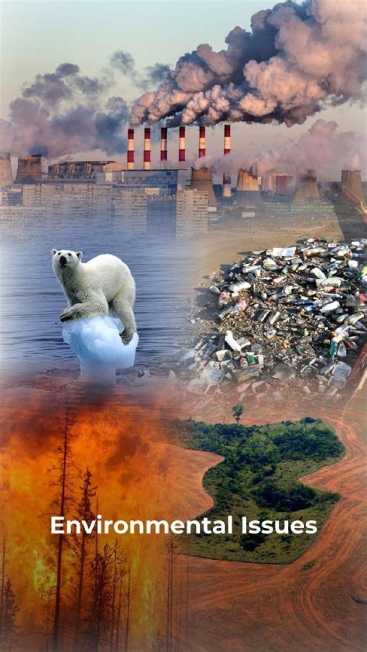 What are two environmental issues that will affect the world in the future?