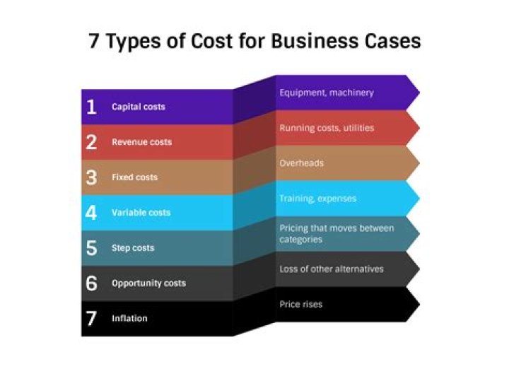 What are types of cost audit?