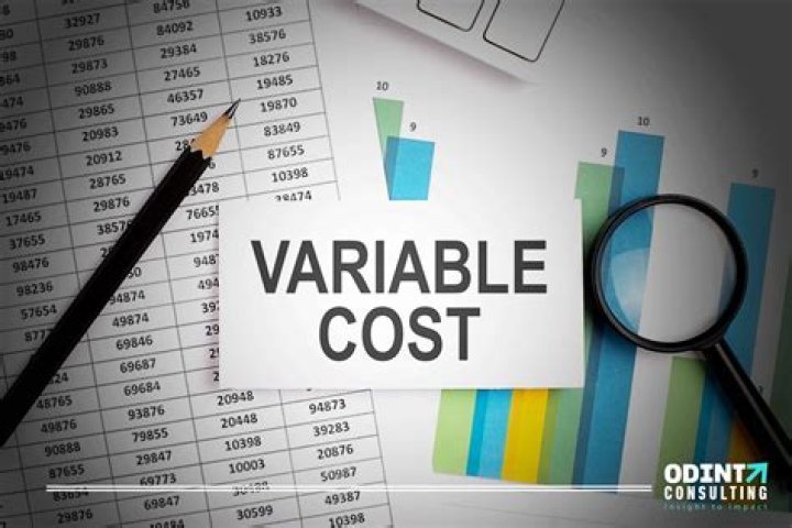 What are variable costs examples?