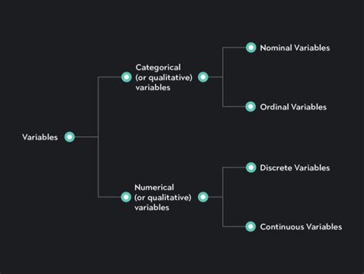 What are variables in customer satisfaction?