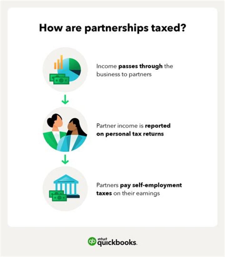 What businesses are taxed like partnerships?