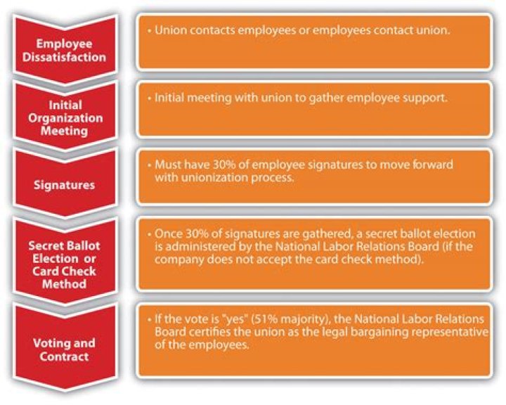 What can employers do during unionization?