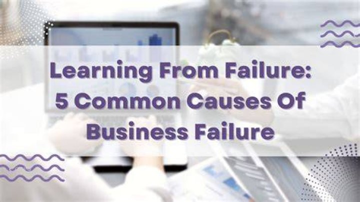 What causes company failure?
