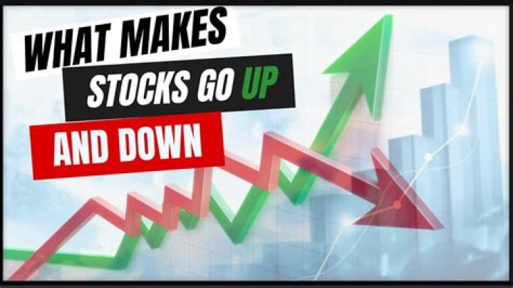 What causes the stock market to go up and down?
