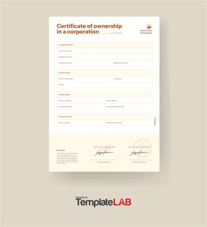 What certificate represents ownership in a corporation?