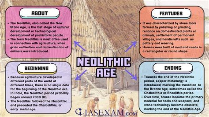 What changed Neolithic Age?