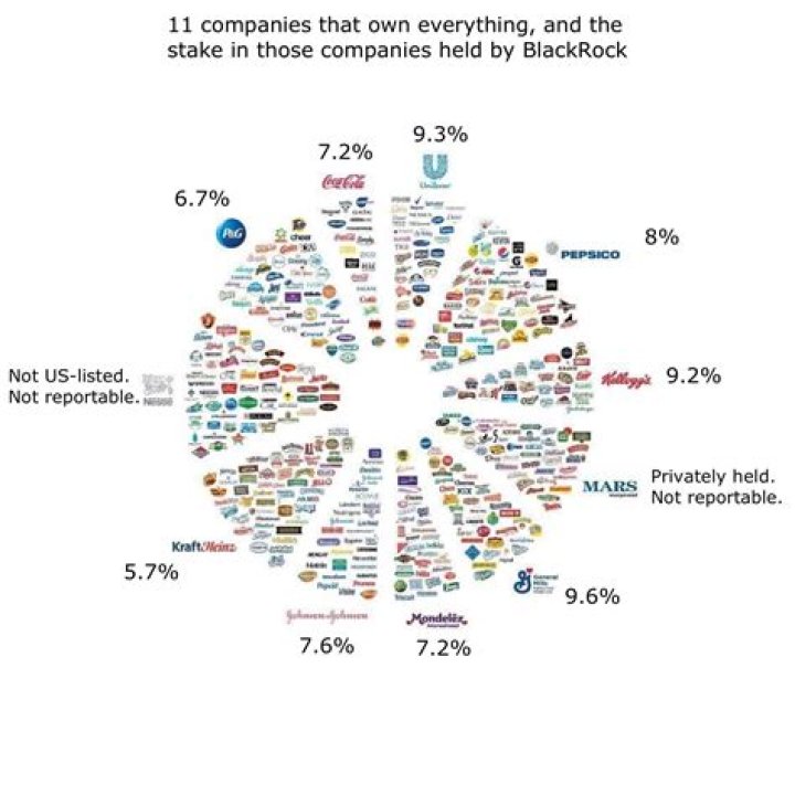 What companies are owned by stockholders?