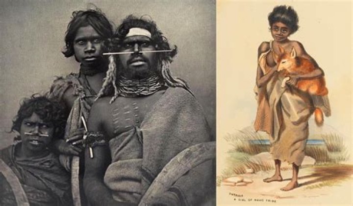 What did the aboriginals teach the Europeans?