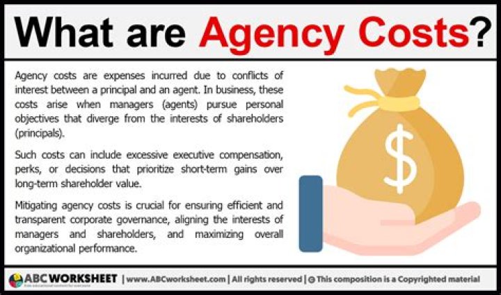 What do agency costs include?