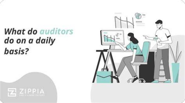 What do auditors do on a daily basis?