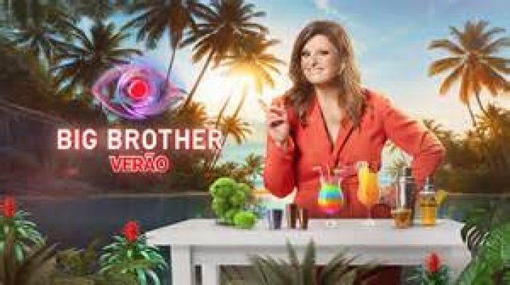 What do Big Brother Big Sister volunteers do?
