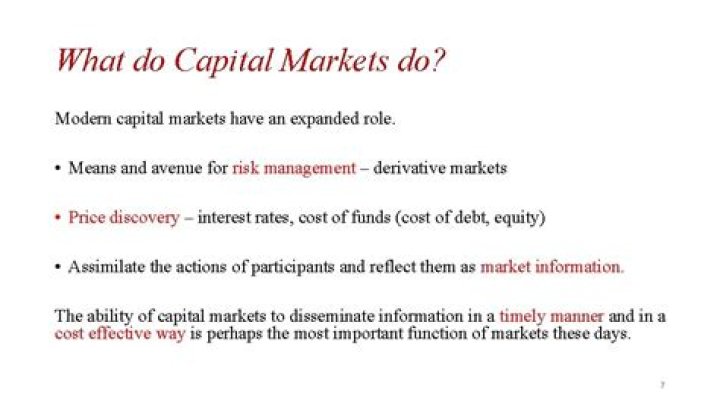 What do capital markets do?