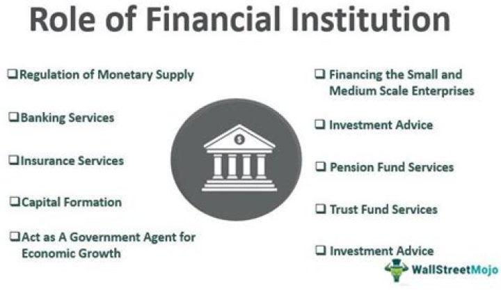 What do financial institutions offer?