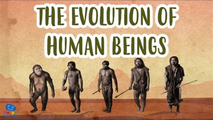 What do humans do in the savanna?