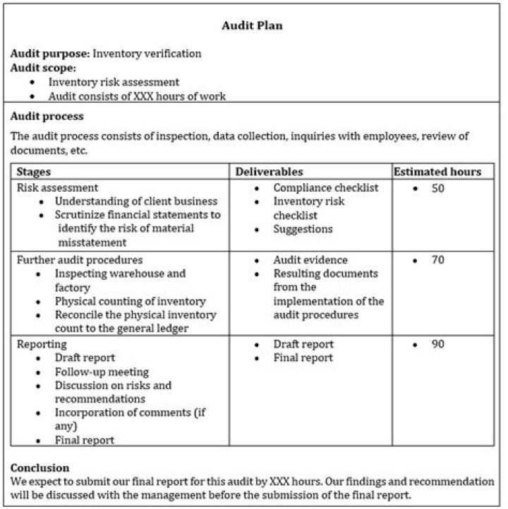What do you mean by audit procedure?